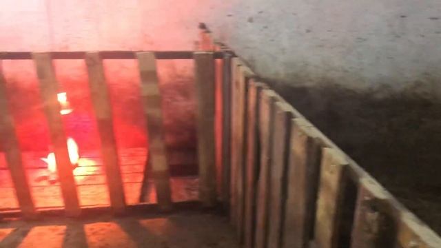 Сарай для свиней сто квадратов!