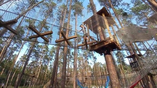 "СКАЗОЧНЫЙ ЛЕС" в ТАМБОВЕ / ДЕТСКАЯ ПОЛОСА ПРЕПЯТСТВИЙ.