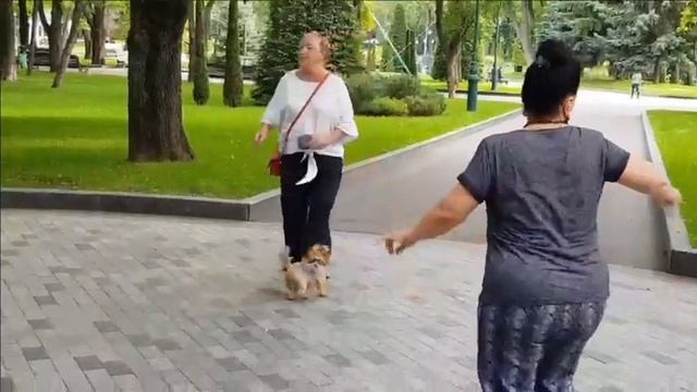 ОЙ ЧОРНА,Я СИ ЧОРНА!!! смотреть онлайн