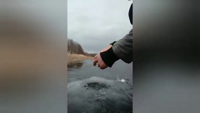 Рыбалка 2021г. Первая щука на жерлицы. Спортивный окунь смотреть онлайн