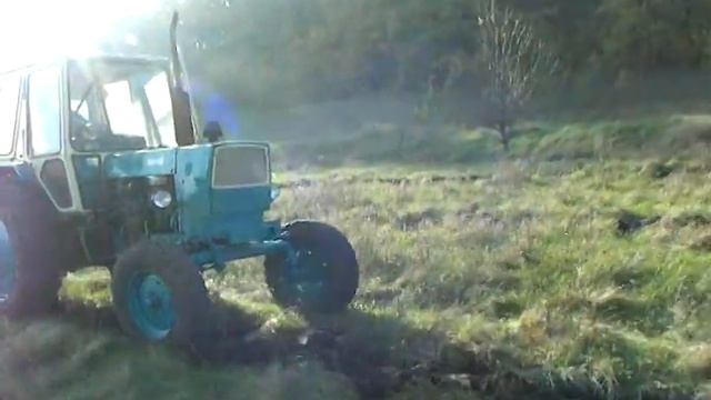 Посадка желудей смотреть онлайн