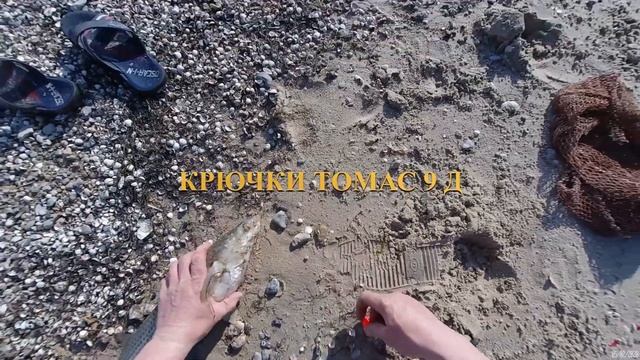 Когда начинается весенний жор пеленгаса смотреть онлайн