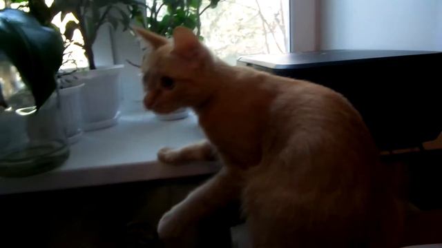 SAM 0517 смотреть онлайн
