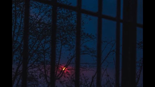 Здесь невозможно жить - стихи о жизни смотреть онлайн