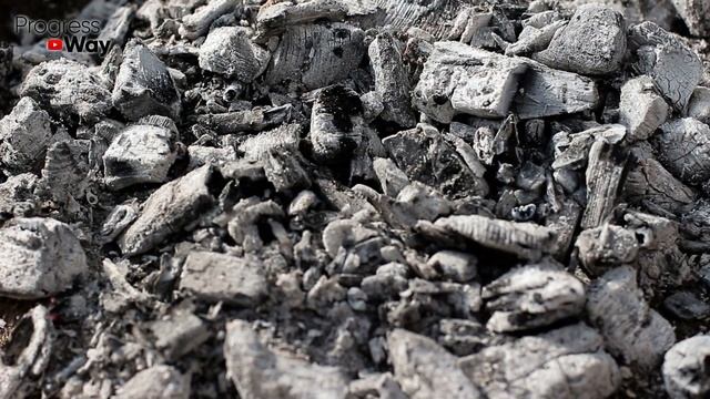 Лилии Отцвели Что Делать Дальше? Помогаю Лилиям Цвести Лучше В Следующем Году. смотреть онлайн
