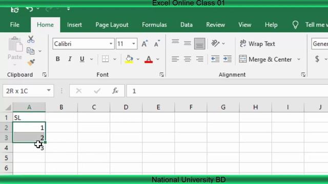Excel Serial Number Formula. Micro-soft Excel Online Class 01. Excel For Beginners. NUBD