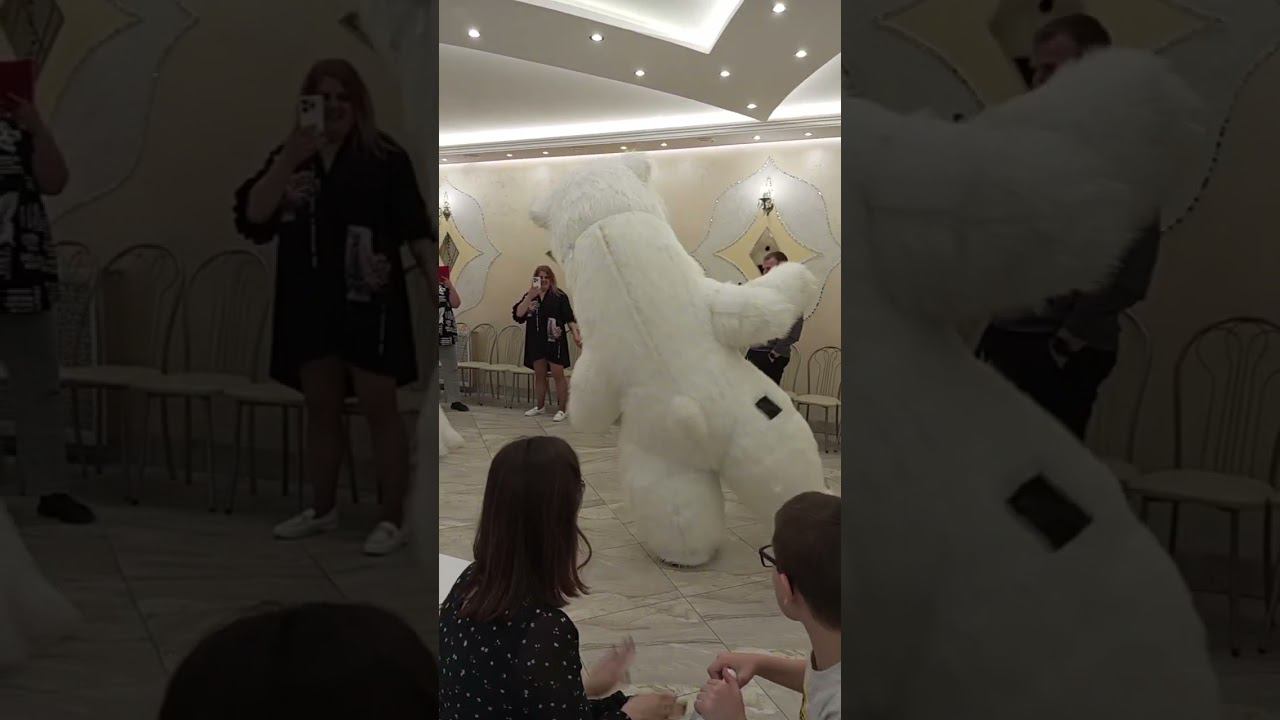 мишка пляшет смотреть онлайн