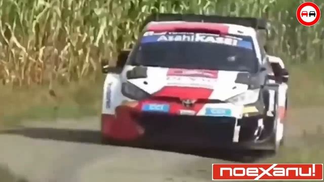 Подборка жестких аварий на гоночной трассе. ДТП на ралли WRC. смотреть онлайн