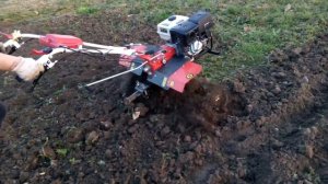 Работа фрезой на мотоблоке Штенли (Shtenli) 1900 pro с пониженной передачей