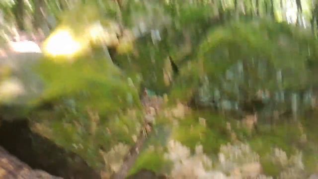 Дольмены Туапсинского района. Гора Богатырка. смотреть онлайн