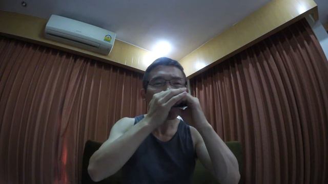 My Grandfather's Clock --- 10 holes harmonica смотреть онлайн