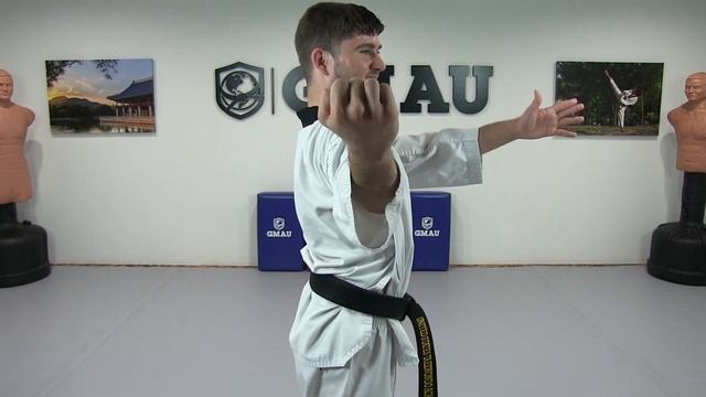 Taekwondo - Green Belt - Class 6 смотреть онлайн