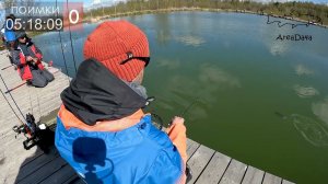 Пассивная весенняя форель на донные приманки. Проводки цикад