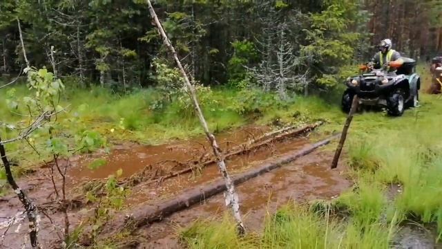 Трофи рейд Болотная выпь. Часть 2 Чудиновское болото. смотреть онлайн