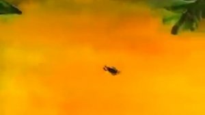 Мультик  Путешествие муравья