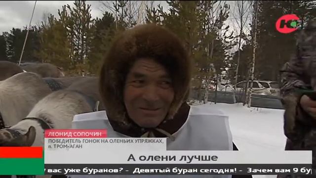 Лошадиную силу за оленью. В Сургутском районе призом в гонках стал снегоход смотреть онлайн