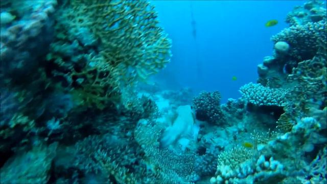 ЕГИПЕТ 2017 18 смотреть онлайн