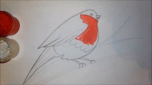 Как нарисовть снегиря! Рисуем поэтапно!how to draw a bullfinch