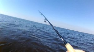 Крупная щука на воблер. Ловля щуки на твичинг. Страйк-про  Инквизитор / Ловля с берега