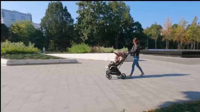 Stroller Carrello Nero CRL-5514
