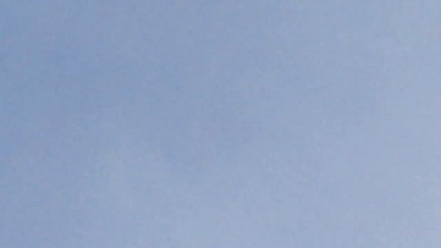 #Pigeons.Лучше пару скакунов чем табун ишаков-2. смотреть онлайн