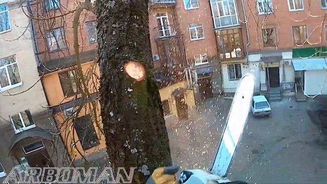 Злой топпинг деревьев An evel topping of trees смотреть онлайн