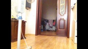 Ваня сказал не добижал до туалета