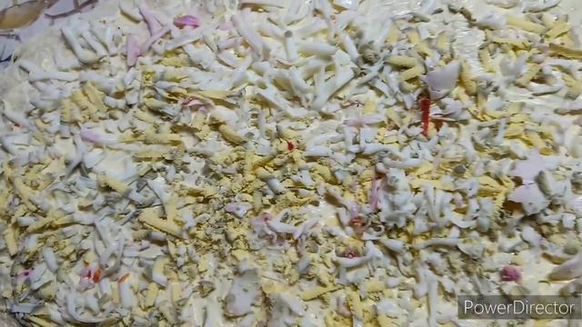 закуска красиво и вкусно.или ленивая шуба?