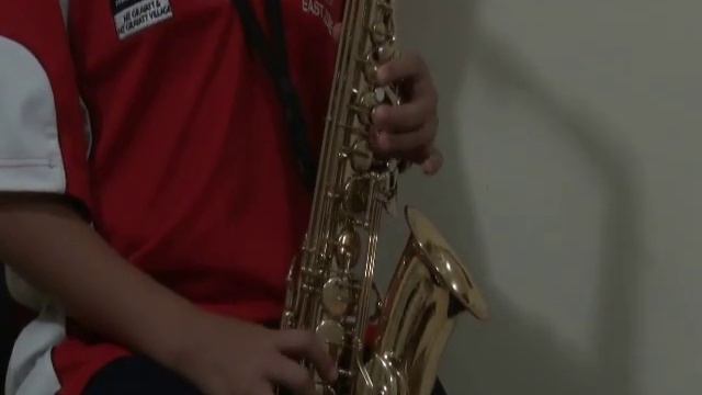 Pink Panther Alto Saxophone Solo смотреть онлайн