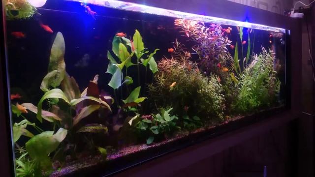 Свет в акве смотреть онлайн