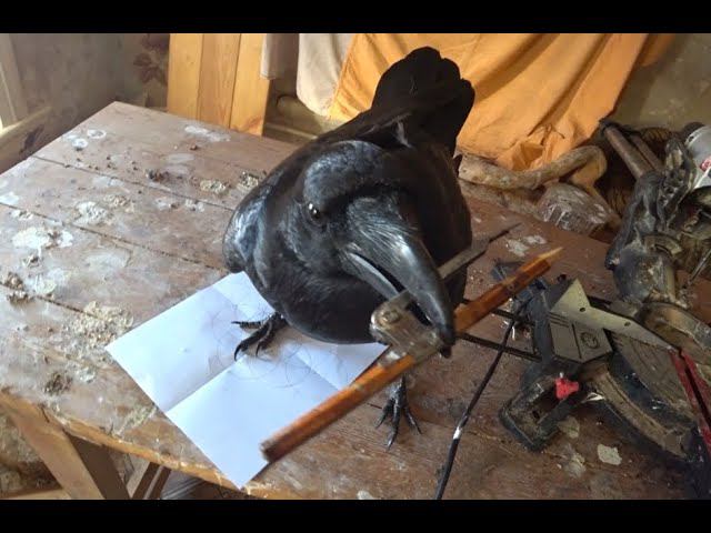 Мысли о Циркулярной Грамоте. смотреть онлайн