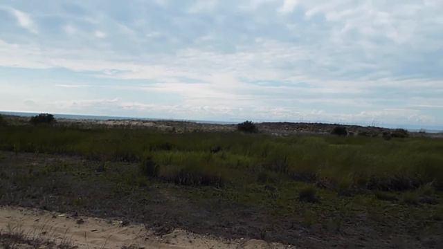 СОБАЧКА ГАБИ НА БАЙКАЛЕ смотреть онлайн