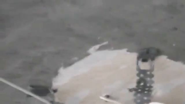установка натяжных потолоков с полукруглым эркером и шведской стенкой смотреть онлайн