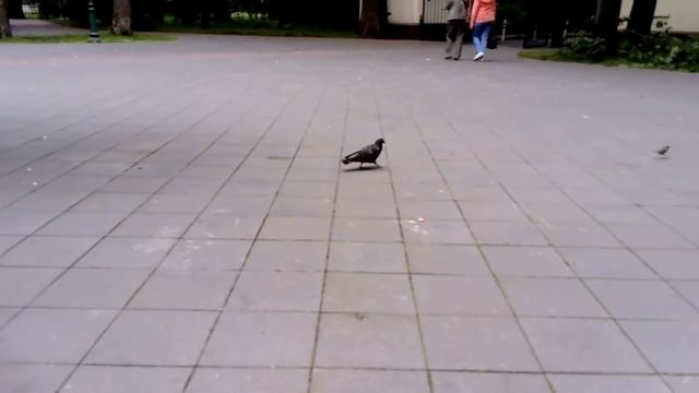 Много негатива смотреть онлайн