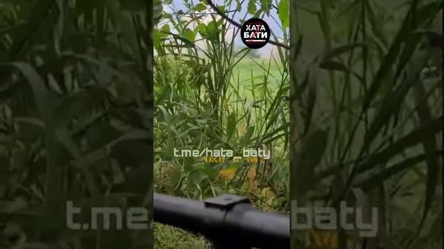 Что с лицом, хохол? смотреть онлайн