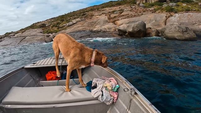 Esperance: Spearfishing & Surfing at Australia's BEST Coastal Spot | Western Australia (Free Camp) смотреть онлайн