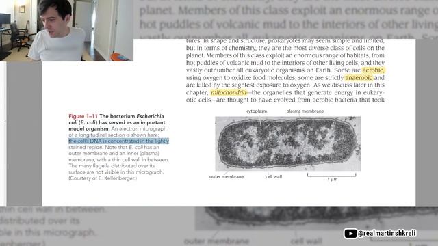 Mitochondria: The Powerhouse of Life | Cell Biology (Part 5) | Martin Shkreli смотреть онлайн