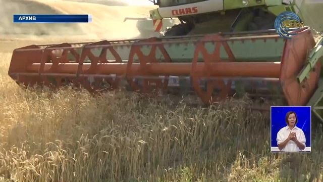 В Жетысу подведены промежуточные итоги социально-экономического развития смотреть онлайн