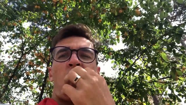 ВСЯ ПРАВДА О ВОЖАТЫХ\\ВЛОГ ВОЖАТЫХ\\КРЫМ, ЕВПАТОРИЯ смотреть онлайн