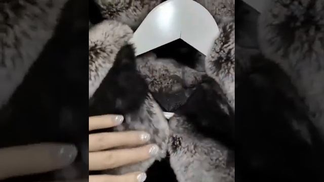 Шуба их меха кролика Рекса под шиншиллу с капюшоном 70см смотреть онлайн