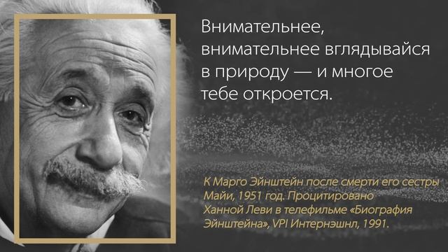 Альберт ЭЙНШТЕЙН // О смерти // смотреть онлайн