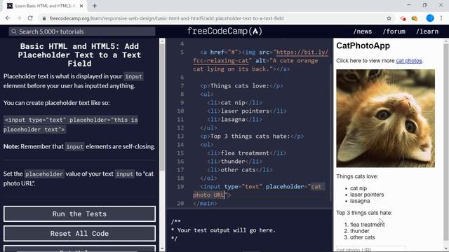 Basic HTML and HTML5 (18/28) | Add Placeholder Text to a Text Field | freeCodeCamp смотреть онлайн