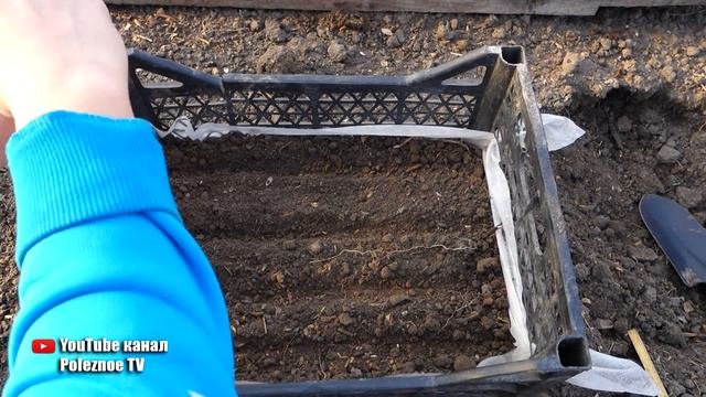 ОБАЛДЕННЫЙ СПОСОБ ВЫРАЩИВАНИЯ РАССАДЫ КАПУСТЫ В ЯЩИКЕ смотреть онлайн