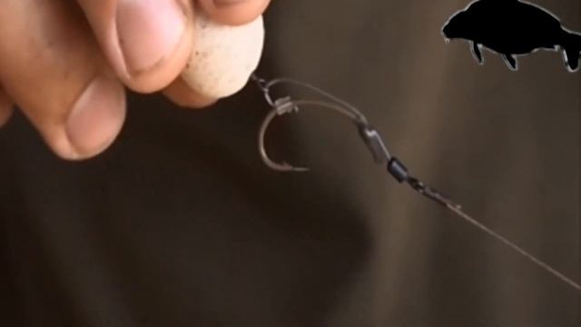 Monster Carp - Чудовищный карп Австрия. Карпфишинг смотреть онлайн