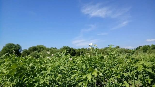 Последние Дни мужа Аллы Пугачевой - Умер Александр Стефанович ! смотреть онлайн