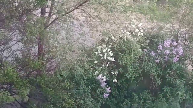 Кухня  изменилась_ Цветы благодарят_ Моя радость