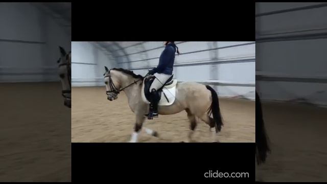 Флаффи Маффин смотреть онлайн