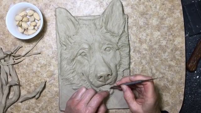 Sculpting a Siberian Husky “Levi” | Sondra Alexander Pet Portraits смотреть онлайн