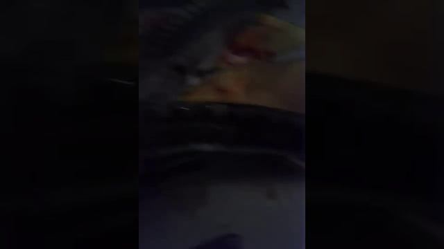 Удалеие визиги черех хвост у осетра смотреть онлайн