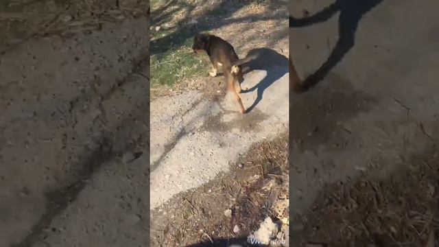 Час в машине без интернета, на День Святого Валентина 😱😱😱😱 смотреть онлайн